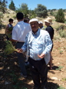 Chickpeas Field in Turkey